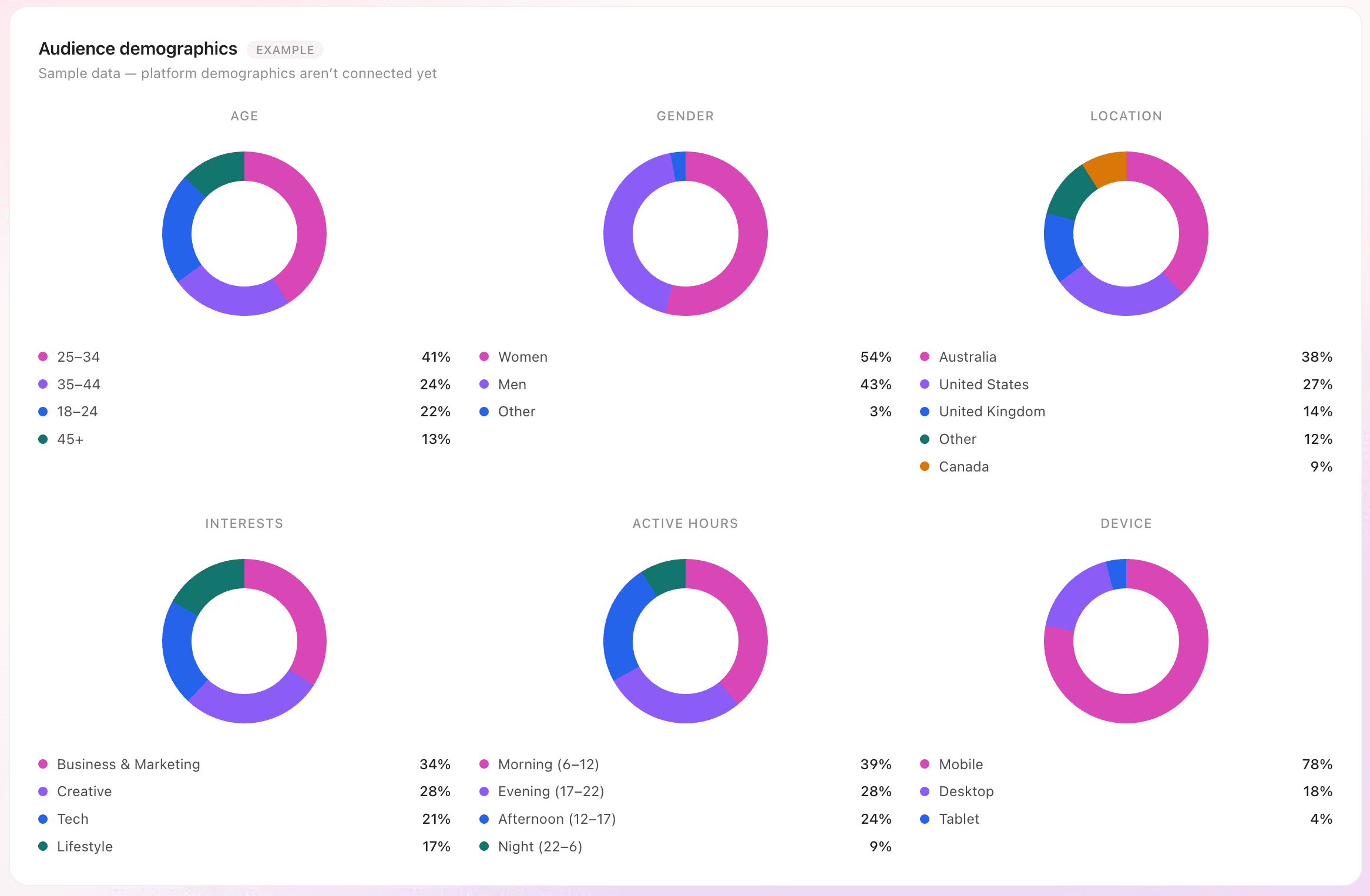Vertical AI audience demographics